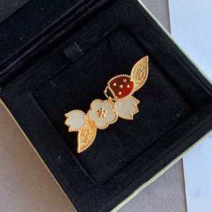 Vue générale Broche Coccinelle et Fleurs en Argent Sterling 925