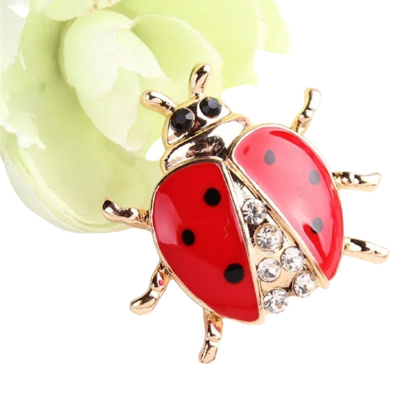 Vue générale Broche Coccinelle Éclat Précieux