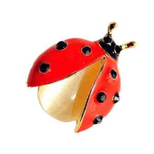 Vue générale Broche Coccinelle en Envol