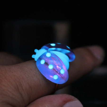 Vue générale Bague Coccinelle "Éclat de Nuit" Redimensionnable