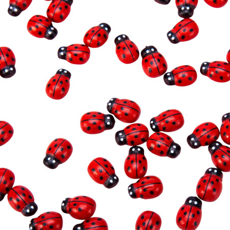 Vue détaillée Lot de Décorations Figurines Coccinelles - 100 pièces !