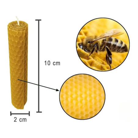 Dimensions Lot de 12 Bougies en cire d'Abeille