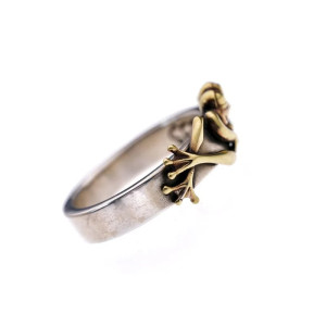 vue c ôté de la Bague Grenouille Étang Doré