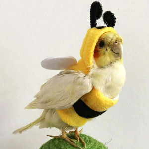 Lustiges Bienenkostüm für Vögel & Papageien | Süß & Bequem