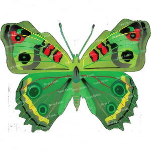 Schmetterling Sticker Bunt aus PVC - Süße & einzigartige Deko