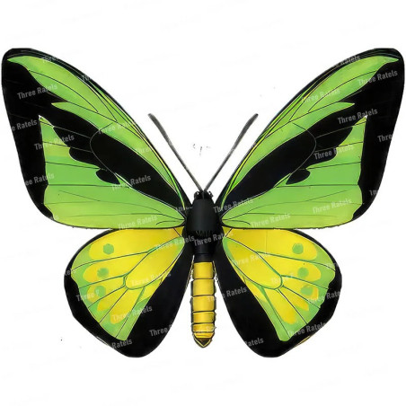 Aufkleber Schmetterling Grün & Schwarz aus Vinyl – 13x12.4cm