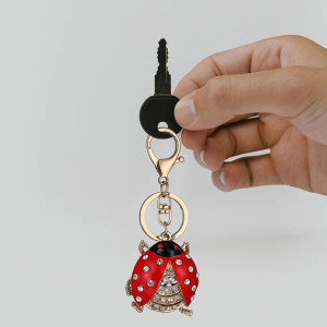 Funkelnder Marienkäfer Schlüsselanhänger mit Zirkonia | Süßes Geschenk