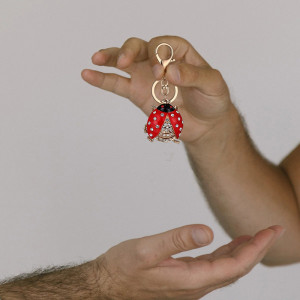 Funkelnder Marienkäfer Schlüsselanhänger mit Zirkonia | Süßes Geschenk