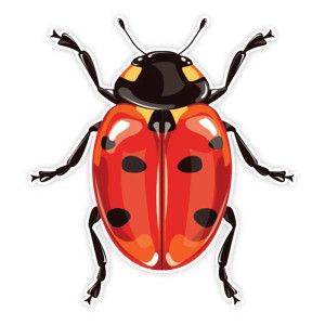 Vintage Marienkäfer Aufkleber – Elegant & Widerstandsfähig