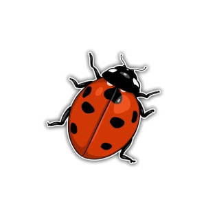Glücksmarienkäfer Aufkleber – Eleganter & langlebiger Sticker