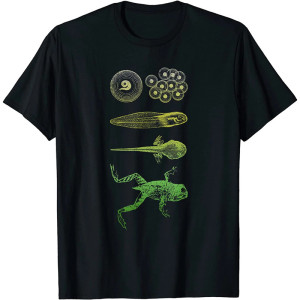 Frosch Metamorphose T-Shirt - Lebenszyklus & Natur Symbolik