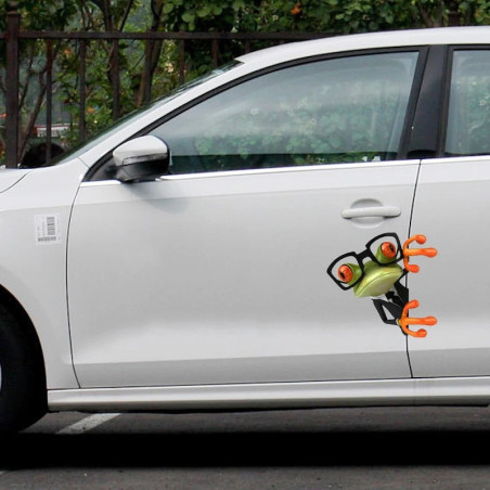 Verschmitzter Frosch Aufkleber | Lustiger Sticker Auto & Motorrad