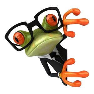 Verschmitzter Frosch Aufkleber | Lustiger Sticker Auto & Motorrad