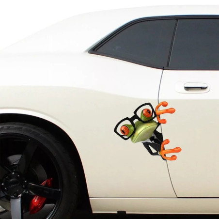Verschmitzter Frosch Aufkleber | Lustiger Sticker Auto & Motorrad