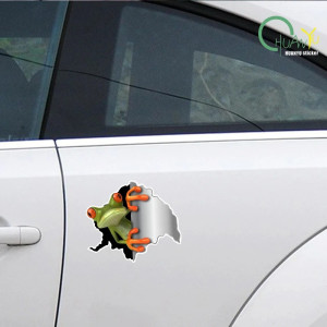 Aufkleber Neugieriger Frosch – 2er Set 3D Sticker – 15x13 cm