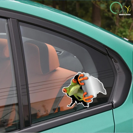 Aufkleber Neugieriger Frosch – 2er Set 3D Sticker – 15x13 cm