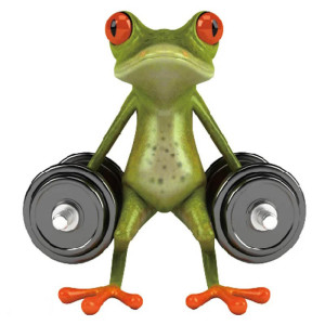 Aufkleber Frosch Gewichtheber | Lustiges Fitness Geschenk