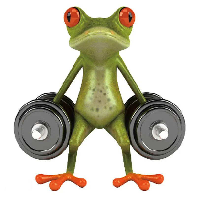 Aufkleber Frosch Gewichtheber | Lustiges Fitness Geschenk