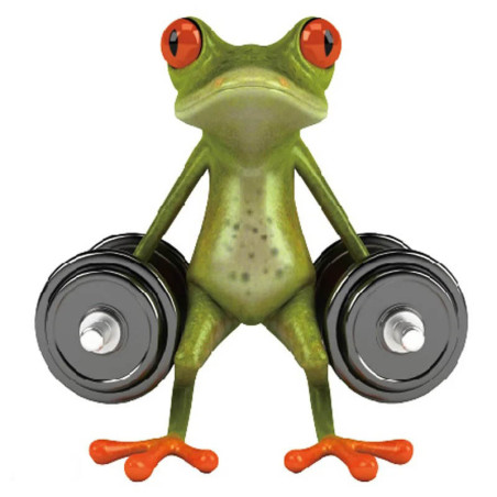 Aufkleber Frosch Gewichtheber | Lustiges Fitness Geschenk