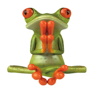 Zen Meditations-Frosch Aufkleber – Lustiger Sticker Entspannung