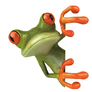 Neugieriger Frosch Aufkleber – Lustiger 3D-Effekt Sticker