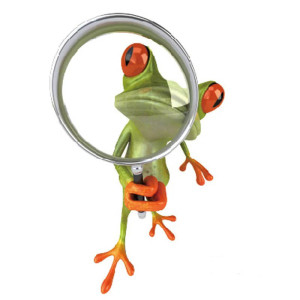 Lustiger Detektiv-Frosch Aufkleber | Süße Geschenkidee