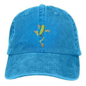 Frosch Cap „Akrobatischer Laubfrosch“ 🐸 – Bestickt & Vintage