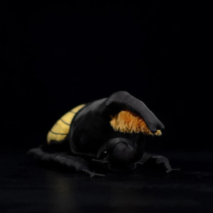 Plüschtier Käfer Gold & Schwarz – Süßes Insekten Kuscheltier
