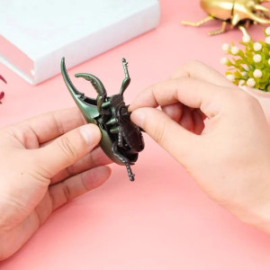 Mechanischer Aufziehkäfer | Lustiges Combat Beetle Spielzeug