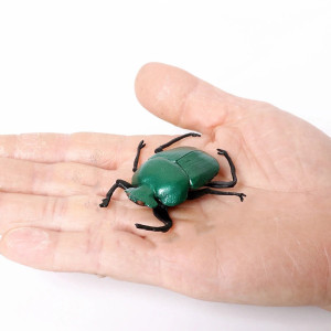 Lernfigur Mistkäfer – Weiblicher Pillendreher | 1001bees