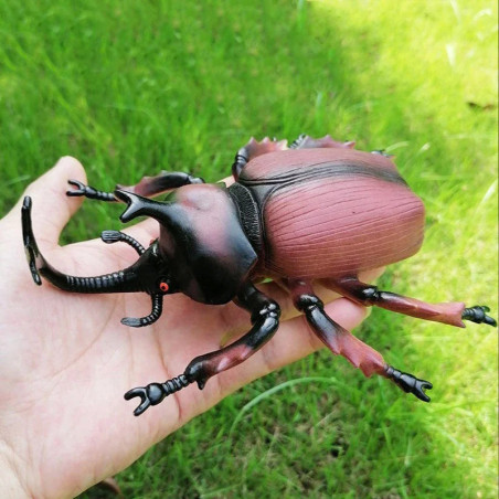 Figur Asiatischer Nashornkäfer - Lernmodell für Insektenfans