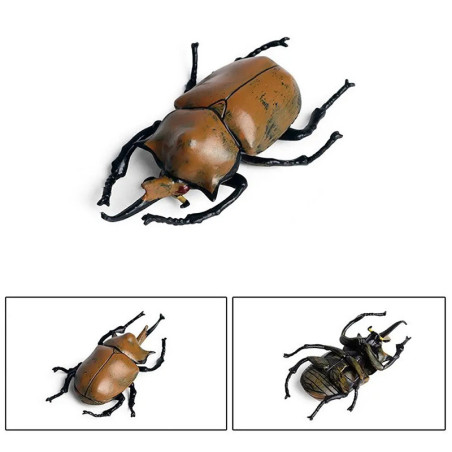 Lernfigur Brauner Nashornkäfer - Realistisches Insektenmodell