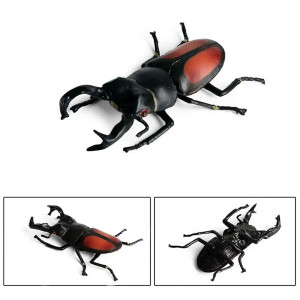 Lernfigur Roter Krieger-Hirschkäfer - Realistischer Käfer