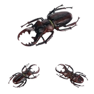 Pädagogische Hirschkäfer Figur - Realistischer Käfer aus PVC