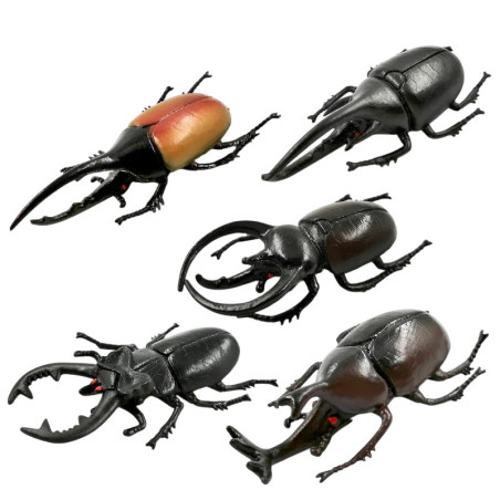 Pädagogische Käferfiguren - Realistisches Horninsekten-Set