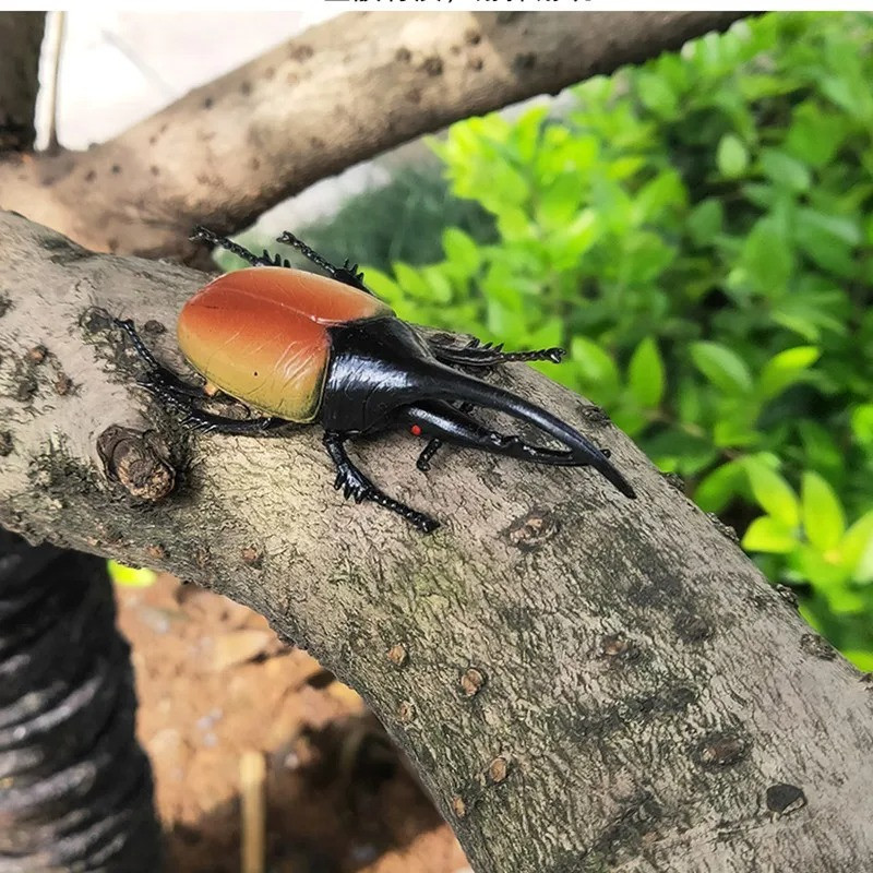 Pädagogische Käferfiguren - Realistisches Horninsekten-Set