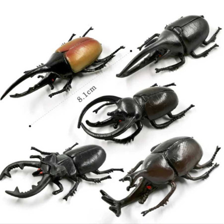 Pädagogische Käferfiguren - Realistisches Horninsekten-Set