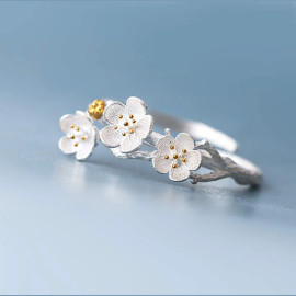 vue proche de la Bague sakura