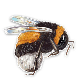 Grand Autocollant Abeille Réaliste