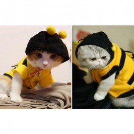 Süßer Bienen-Hoodie für Katzen | Lustiges Katzenkostüm