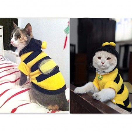 Süßer Bienen-Hoodie für Katzen | Lustiges Katzenkostüm