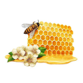 Autocollant Abeille et Miel Délicieux en PVC
