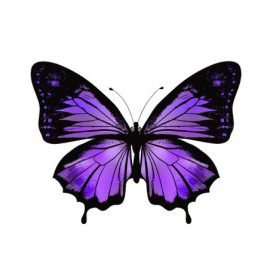 Sticker Papillon Grand Papillon Violet en PVC - 14cm x 11 cm