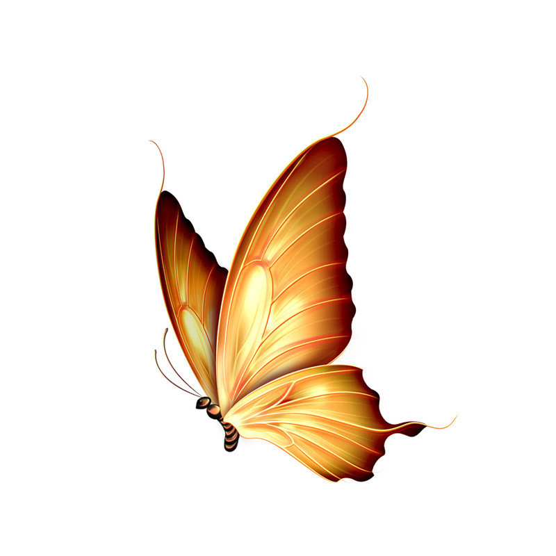 Sticker Papillon Jaune Ailes de Papillon Bicolores PVC - 16cm x 12cm doré