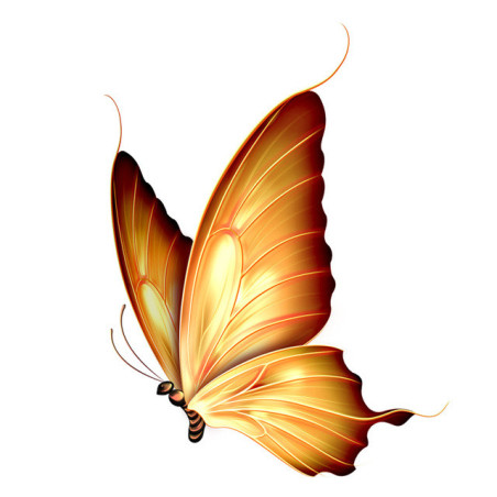 Sticker Papillon Jaune Ailes de Papillon Bicolores PVC - 16cm x 12cm doré