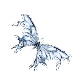 Sticker Papillon éclaboussures d'eau - PVC - 15cm x 15cm
