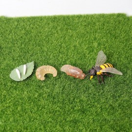 Figurines éducatives cycle de croissance de l'abeille