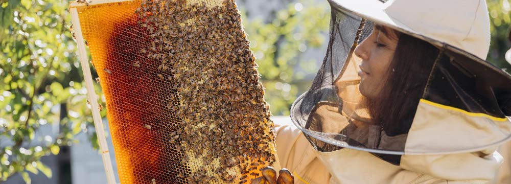 Bienen-Kleidung: T-Shirts, Sweatshirts, Accessoires & mehr