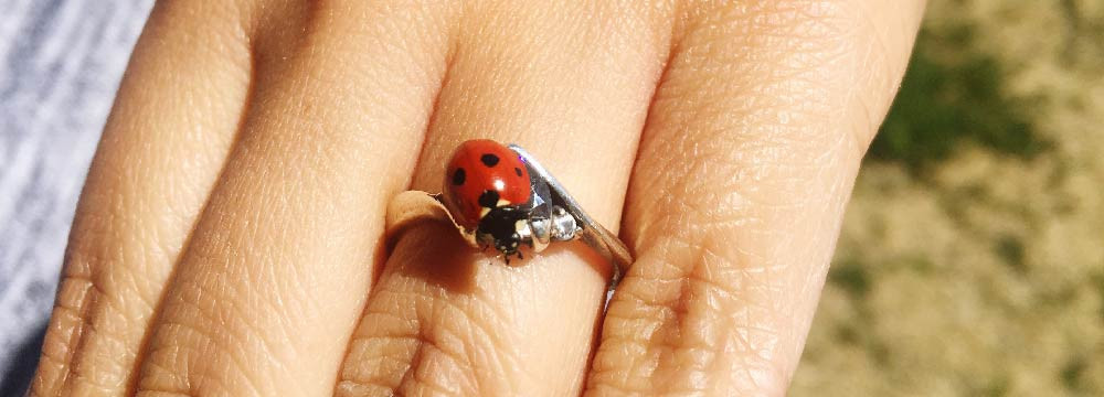Marienkafer Ring, Gluecks Anneau und Gluecksbringer Geschenkidee