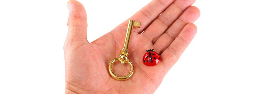 Marienkafer Schlusselanhanger, Gluecks Accessoire und Geschenk
